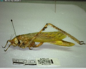  ( - YB-BCI195249)  @11 [ ] No Rights Reserved  Unspecified Unspecified