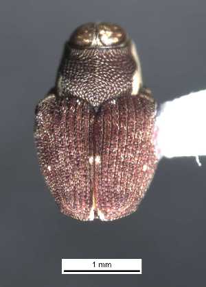  ( - SG-BCISP-1987)  @11 [ ] No Rights Reserved (2013) Unspecified NA