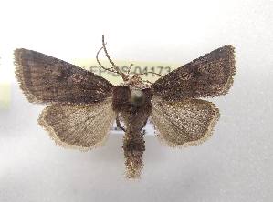  ( - LEP-SS-04173)  @11 [ ] No Rights Reserved (2023) Stefano Scalercio Consiglio per la ricerca in agricoltura e l'analisi dell'economia agraria