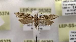  ( - LEP-SS-05362)  @11 [ ] No Rights Reserved (2023) Stefano Scalercio Consiglio per la ricerca in agricoltura e l'analisi dell'economia agraria