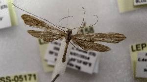  ( - LEP-SS-05158)  @11 [ ] No Rights Reserved (2023) Stefano Scalercio Consiglio per la ricerca in agricoltura e l'analisi dell'economia agraria