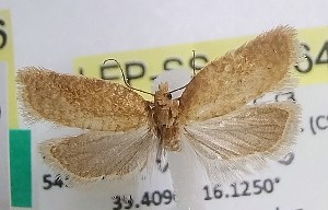  ( - LEP-SS-07464)  @11 [ ] No Rights Reserved (2025) Stefano Scalercio Consiglio per la ricerca in agricoltura e l'analisi dell'economia agraria