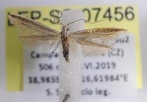  ( - LEP-SS-07456)  @11 [ ] No Rights Reserved (2025) Stefano Scalercio Council for agricultural research and economics