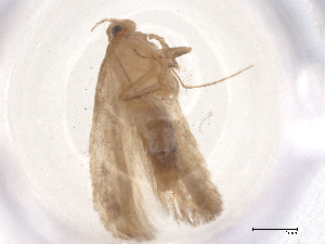  ( - CBG-B01066-B03)  @11 [ ] CreativeCommons - Attribution Share - Alike (2025) CBG Photography Group Centre for Biodiversity Genomics