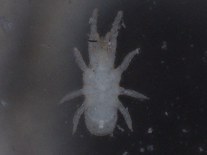  ( - CBG-B01130-E04)  @11 [ ] CreativeCommons - Attribution Share - Alike (2025) CBG Photography Group Centre for Biodiversity Genomics