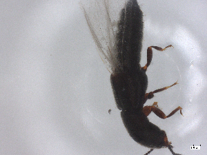  ( - CBG-B01862-B05)  @11 [ ] CreativeCommons - Attribution Share - Alike (2025) CBG Photography Group Centre for Biodiversity Genomics