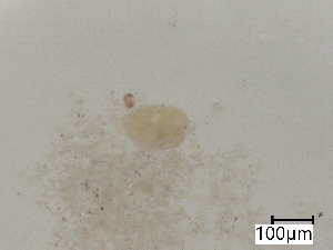  ( - CBG-B07204-D05)  @11 [ ] CreativeCommons - Attribution Share - Alike (2025) Centre for Biodiversity Genomics Centre for Biodiversity Genomics