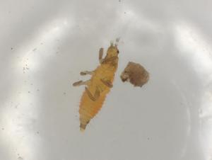  ( - CBG-B07214-F03)  @11 [ ] CreativeCommons - Attribution Share - Alike (2025) Centre for Biodiversity Genomics Centre for Biodiversity Genomics