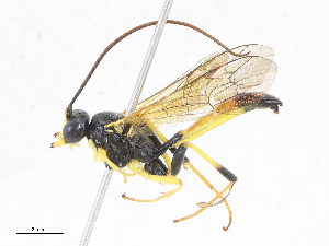  ( - CBG-A16640-B05)  @11 [ ] CreativeCommons - Attribution Share-Alike (2023) CBG Photography Group Centre for Biodiversity Genomics