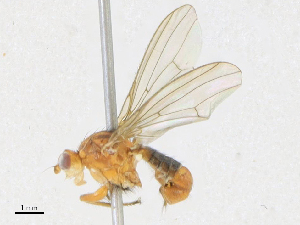  ( - CBG-A21745-F07)  @11 [ ] CreativeCommons - Attribution Share - Alike (2023) CBG Photography Group Centre for Biodiversity Genomics