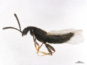  ( - CBG-B14551-F03)  @11 [ ] CreativeCommons - Attribution Share - Alike (2025) CBG Photography Group Centre for Biodiversity Genomics