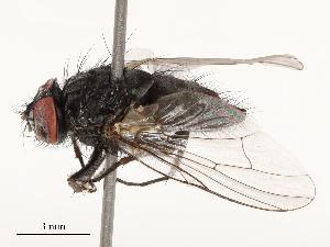  ( - CBG-B14653-D05)  @11 [ ] CreativeCommons - Attribution Share - Alike (2025) CBG Photography Group Centre for Biodiversity Genomics