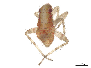  ( - CBG-B14673-A04)  @11 [ ] CreativeCommons - Attribution Share - Alike (2025) CBG Photography Group Centre for Biodiversity Genomics