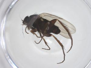  ( - CBG-B14765-E07)  @11 [ ] CreativeCommons - Attribution Share - Alike (2025) Centre for Biodiversity Genomics Centre for Biodiversity Genomics