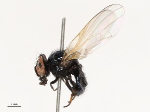  ( - CBG-B14767-G03)  @11 [ ] CreativeCommons - Attribution Share - Alike (2025) CBG Photography Group Centre for Biodiversity Genomics