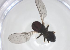  ( - CBG-B14865-E04)  @11 [ ] CreativeCommons - Attribution Share - Alike (2025) Centre for Biodiversity Genomics Centre for Biodiversity Genomics