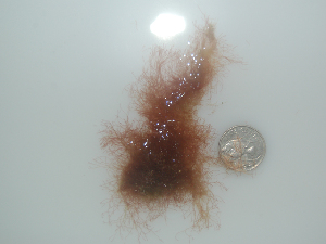  ( - BDA0461)  @11 [ ] Unspecified (default): All Rights Reserved  Unspecified Unspecified