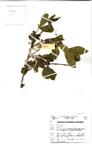  ( - OM0201)  @11 [ ] No Rights Reserved  Unspecified Unspecified