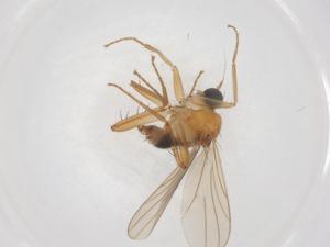  ( - CBG-B02593-B02)  @11 [ ] CreativeCommons - Attribution Share - Alike (2025) Centre for Biodiversity Genomics Centre for Biodiversity Genomics