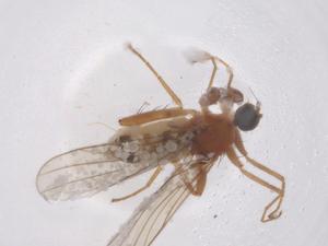  ( - CBG-B23664-G08)  @11 [ ] CreativeCommons - Attribution Share - Alike (2025) Centre for Biodiversity Genomics Centre for Biodiversity Genomics