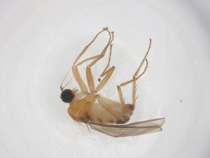  ( - CBG-B23665-A05)  @11 [ ] CreativeCommons - Attribution Share - Alike (2025) Centre for Biodiversity Genomics Centre for Biodiversity Genomics