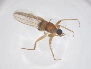  ( - CBG-B23665-F07)  @11 [ ] CreativeCommons - Attribution Share - Alike (2025) Centre for Biodiversity Genomics Centre for Biodiversity Genomics