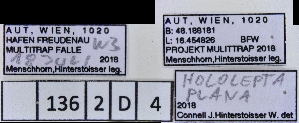  ( - 136-2-D-4)  @11 [ ] by-nc-sa (2024) Bundesforschungs- und Ausbildungszentrum fur Wald Bundesforschungs- und Ausbildungszentrum fur Wald