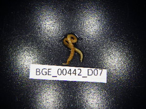  ( - BGE_00442_D07)  @11 [ ] CreativeCommons Attribution NonCommercial ShareAlike (2021) (2021) University of Lodz University of Lodz