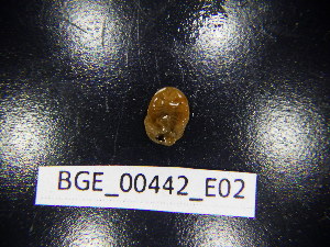  ( - BGE_00442_E02)  @11 [ ] CreativeCommons Attribution NonCommercial ShareAlike (2021) (2021) University of Lodz University of Lodz