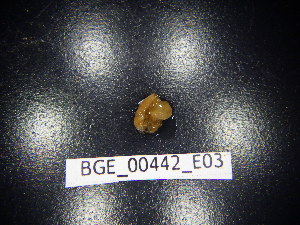  ( - BGE_00442_E03)  @11 [ ] CreativeCommons Attribution NonCommercial ShareAlike (2021) (2021) University of Lodz University of Lodz