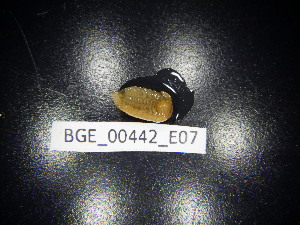  ( - BGE_00442_E07)  @11 [ ] CreativeCommons Attribution NonCommercial ShareAlike (2021) (2021) University of Lodz University of Lodz