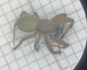  ( - BGE_00462_B08)  @11 [ ] CreativeCommons Attribution NonCommercial ShareAlike (2021) (2025) University of Lodz University of Lodz