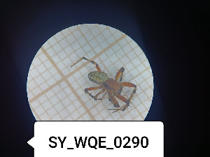  ( - BGE_00464_E02)  @11 [ ] CreativeCommons Attribution NonCommercial ShareAlike (2021) (2025) University of Lodz University of Lodz