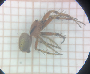  ( - BGE_00807_D12)  @11 [ ] CreativeCommons Attribution NonCommercial ShareAlike (2021) (2025) University of Lodz University of Lodz