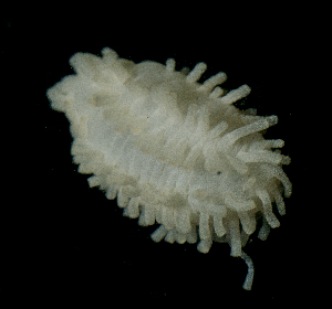  ( - BHAK-14893_2)  @11 [ ] CreativeCommons Attribution Non-Commercial No Derivatives (2025) Matt Lemay Hakai Institute