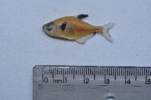  ( - LBPV_4697_24862)  @13 [ ] Unspecified (default): All Rights Reserved  Unspecified Unspecified