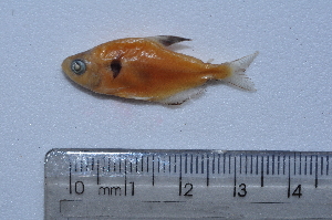  ( - LBPV_6692_32164)  @13 [ ] Unspecified (default): All Rights Reserved  Unspecified Unspecified