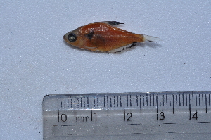  ( - LBPV_12134_51838)  @13 [ ] Unspecified (default): All Rights Reserved  Unspecified Unspecified