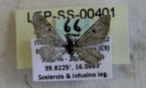  ( - LEP-SS-00401)  @12 [ ] No Rights Reserved (2016) Unspecified Unit&agrave; di Ricerca per la Selvicoltura in Ambiente Mediterraneo