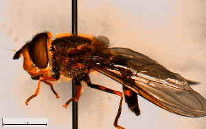  ( - MECN_EN_21678)  @11 [ ] CC-BY-NC-ND (2024) INABIO INABIO