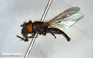  ( - MECN_EN_23185)  @11 [ ] CC-BY-NC-ND (2024) INABIO INABIO