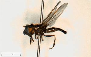  ( - MECN_EN_23194)  @11 [ ] CC-BY-NC-ND (2024) INABIO INABIO