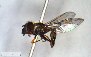  ( - MECN_EN_23195)  @11 [ ] CC-BY-NC-ND (2024) INABIO INABIO