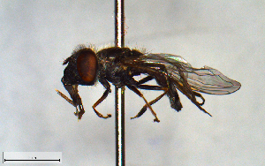  ( - MECN_EN_23196)  @11 [ ] CC-BY-NC-ND (2024) INABIO INABIO