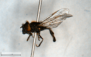  ( - MECN_EN_23198)  @11 [ ] CC-BY-NC-ND (2024) INABIO INABIO