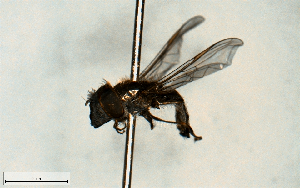  ( - MECN_EN_23199)  @11 [ ] CC-BY-NC-ND (2024) INABIO INABIO