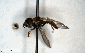  ( - MECN_EN_23242)  @11 [ ] CC-BY-NC-ND (2024) INABIO INABIO