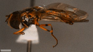  ( - MECN_EN_29567)  @11 [ ] CC-BY-NC-ND (2024) INABIO INABIO