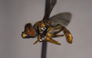  ( - MECN_EN_29574)  @11 [ ] CC-BY-NC-ND (2024) INABIO INABIO