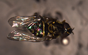  ( - MECN_EN_29579)  @11 [ ] CC-BY-NC-ND (2024) INABIO INABIO